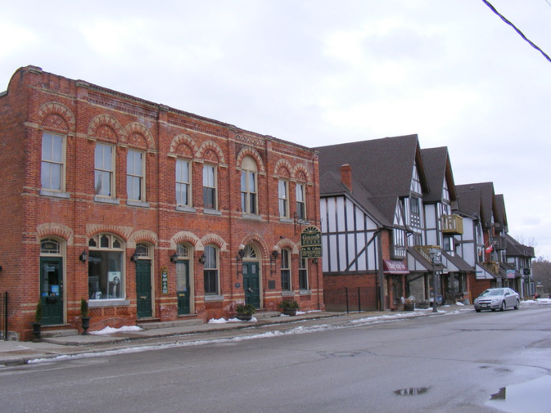 Security Professional