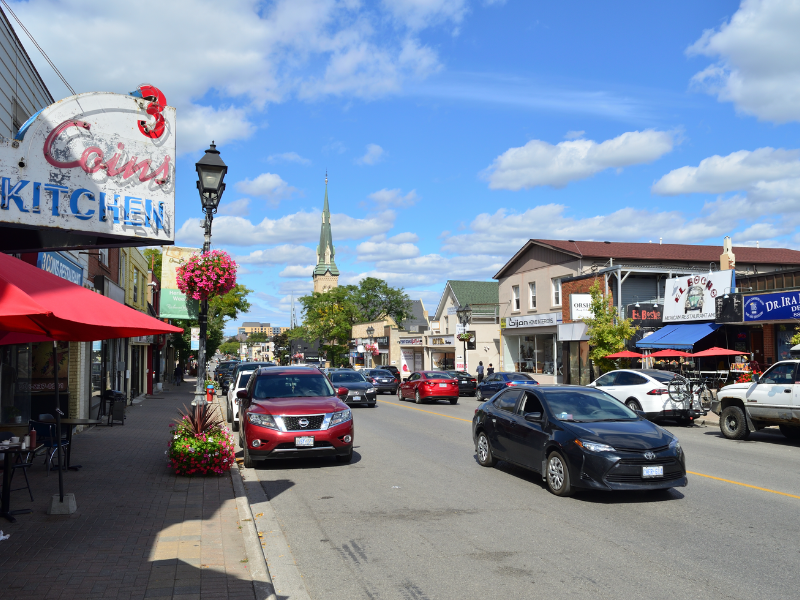 Security Professional