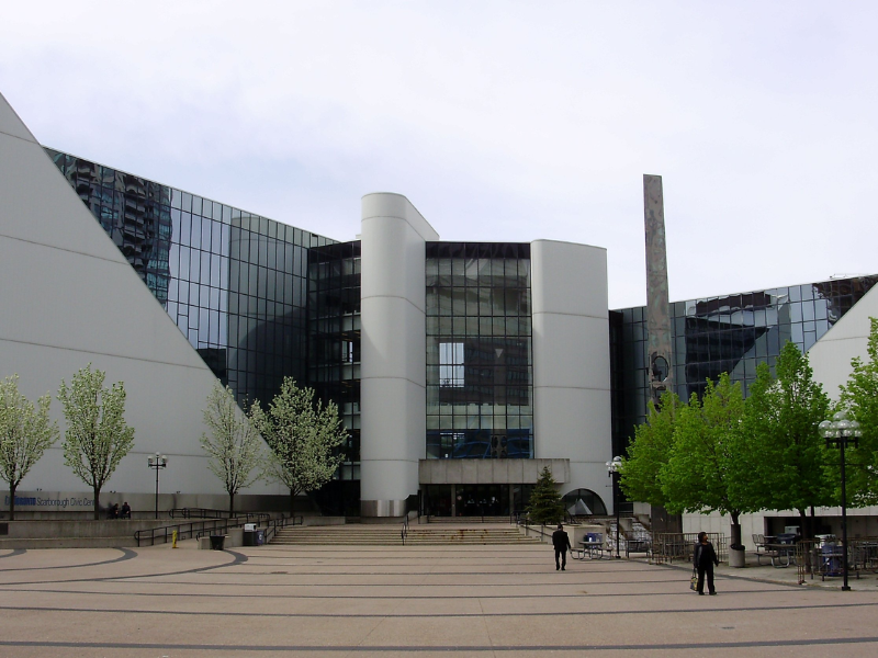 Security Professional