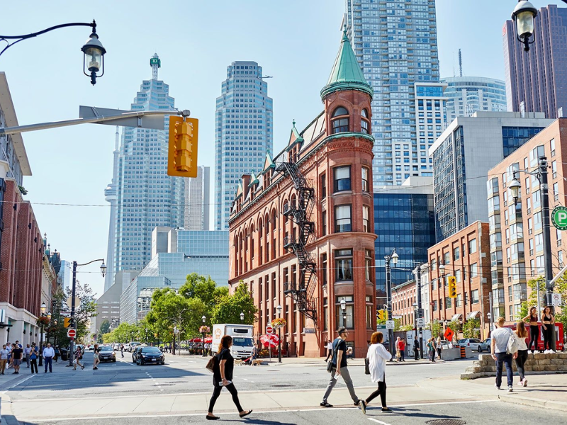 Security Professional